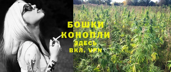 твердый Ладушкин