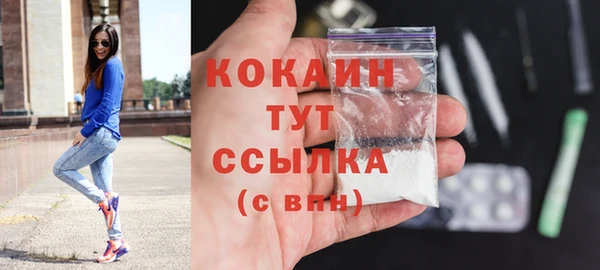 твердый Ладушкин