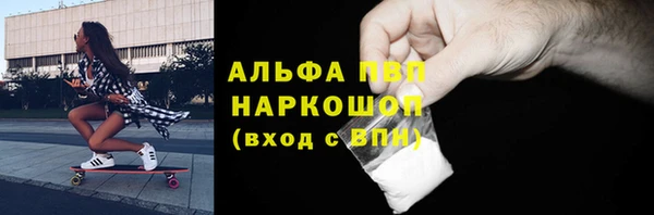 твердый Ладушкин