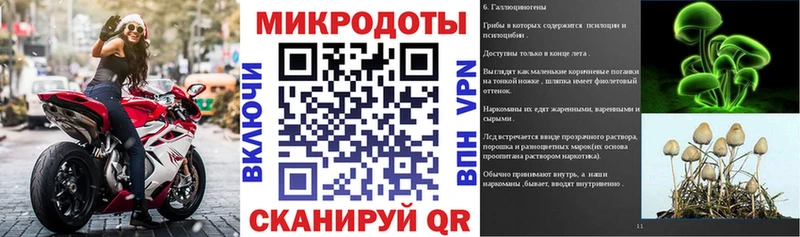 Псилоцибиновые грибы прущие грибы  Пущино 